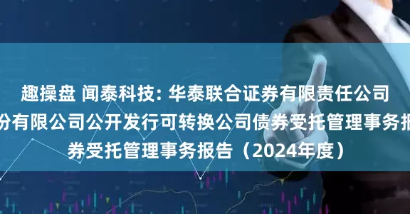 趣操盘 闻泰科技: 华泰联合证券有限责任公司关于闻泰科技股份有限公司公开发行可转换公司债券受托管理事务报告（2024年度）