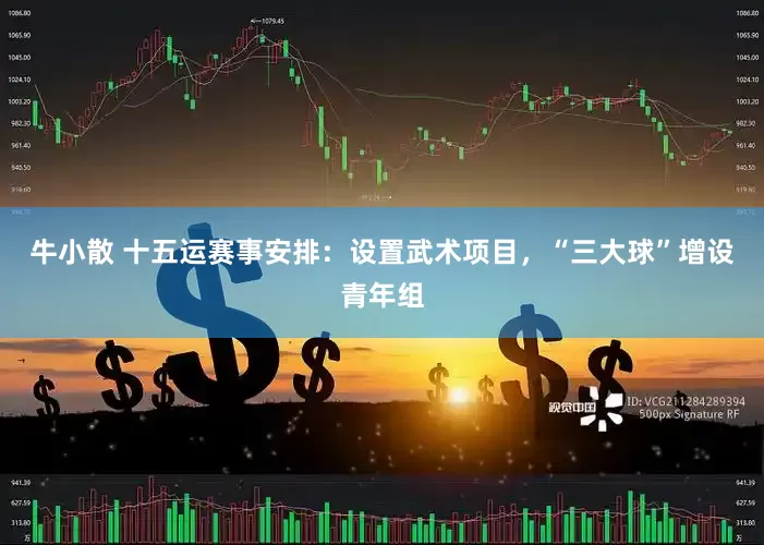 牛小散 十五运赛事安排：设置武术项目，“三大球”增设青年组