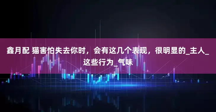鑫月配 猫害怕失去你时，会有这几个表现，很明显的_主人_这些行为_气味